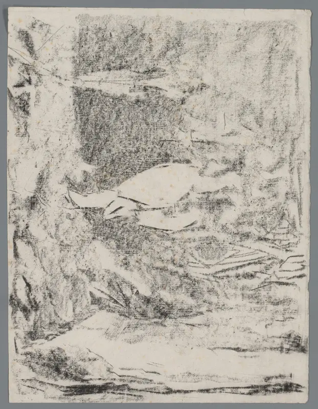 Zeeschildpad in een aquarium Wall Art by Gerrit Willem Dijsselhof - High-Resolution Digital Print