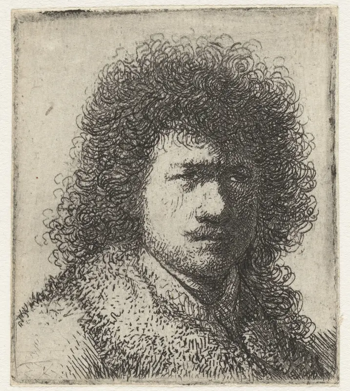 Zelfportret met ruig haar Wall Art by Rembrandt van Rijn - High-Resolution Digital Print