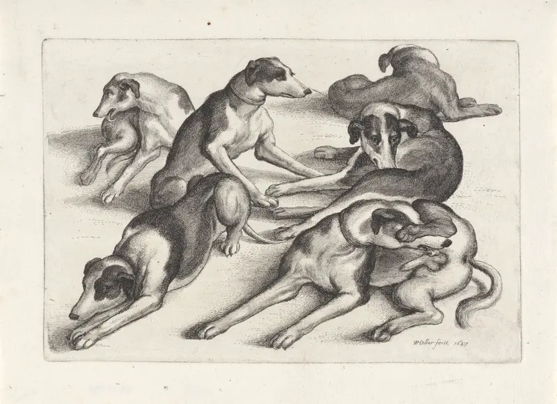 Zes liggende jachthonden Wall Art by Wenceslaus Hollar - High-Resolution Digital Print