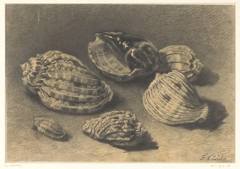 Zes schelpen Wall Art by Frederik Willem Zürcher - High-Resolution Digital Print