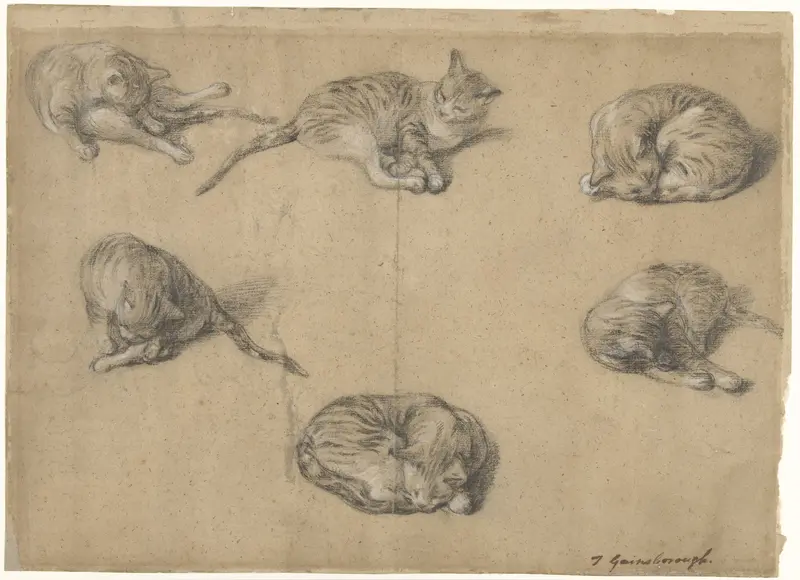 Zes studies van een kat Wall Art by Thomas Gainsborough - High-Resolution Digital Print