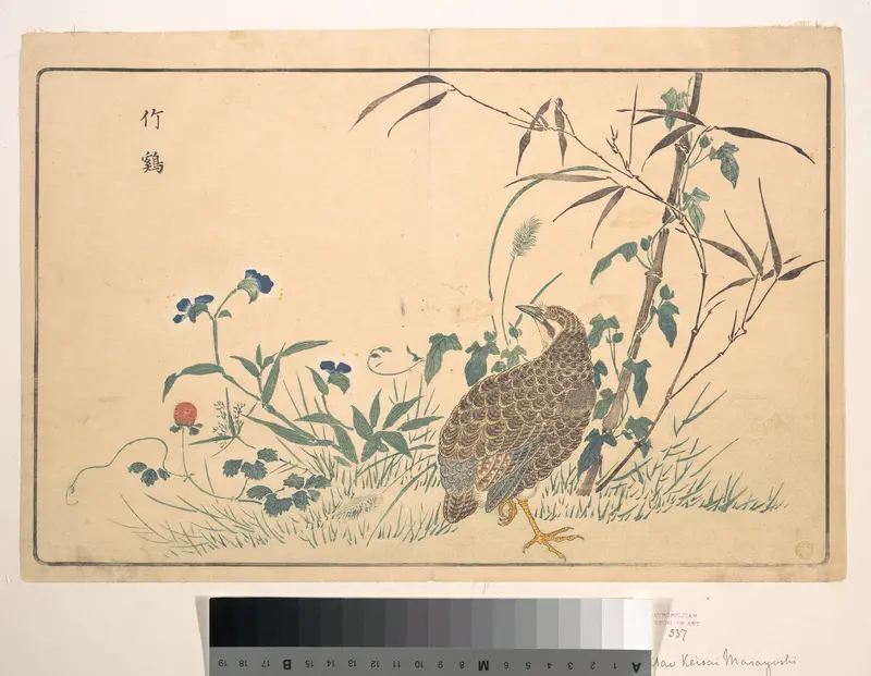 Zhu ji