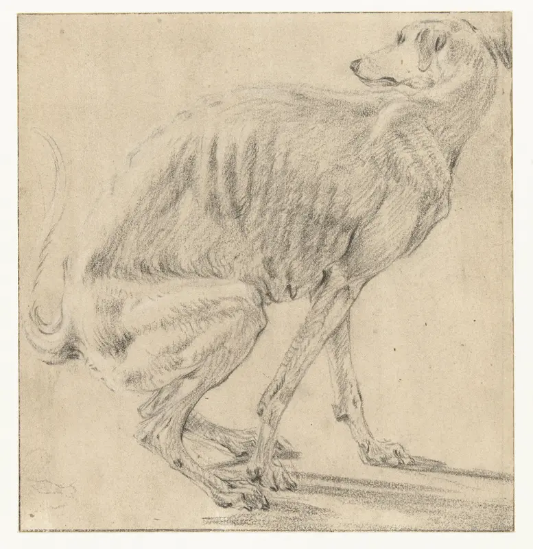 Zittende hond, zich ontlastend, van opzij gezien Wall Art by Frans Snijders - High-Resolution Digital Print