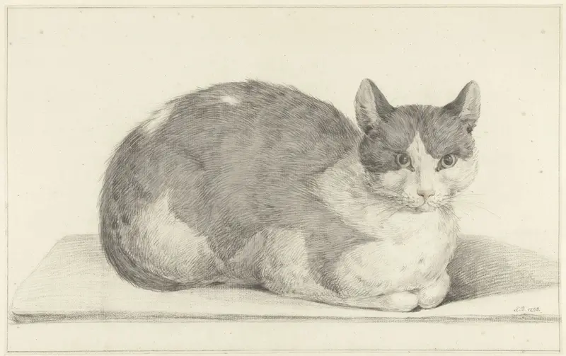 Zittende kat, naar rechts Wall Art by Jean Bernard - High-Resolution Digital Print