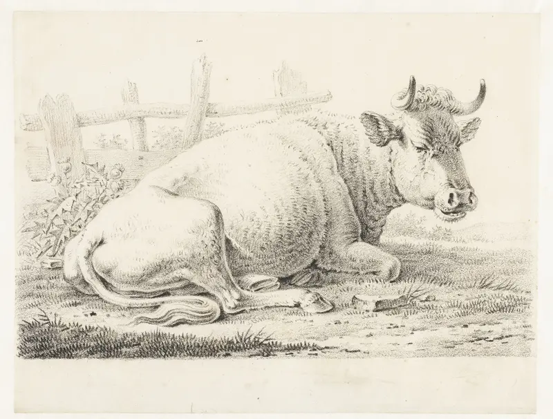 Zittende koe Wall Art by Unknown - High-Resolution Digital Print