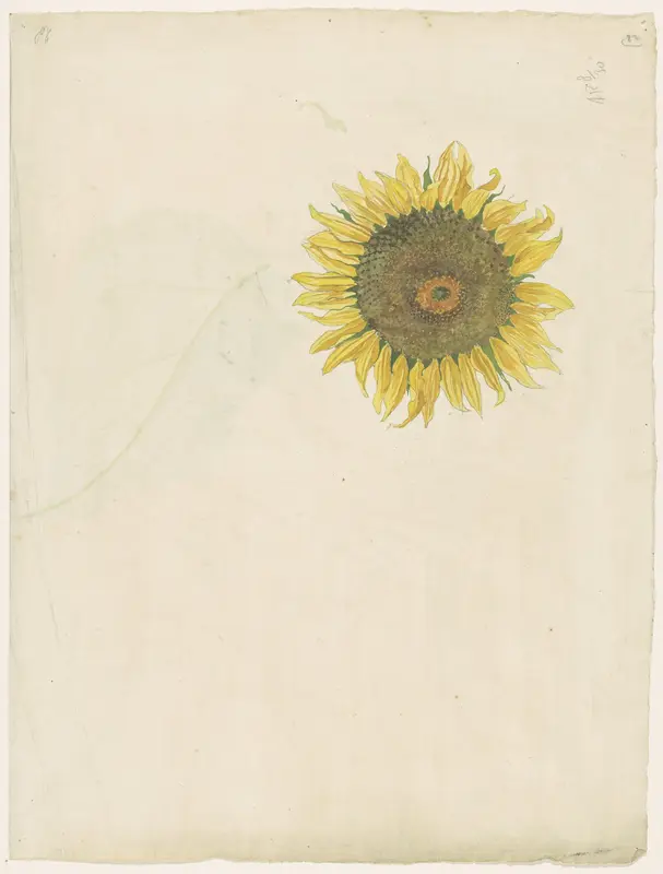 Zonnebloem Wall Art by Martinus van Andringa - High-Resolution Digital Print