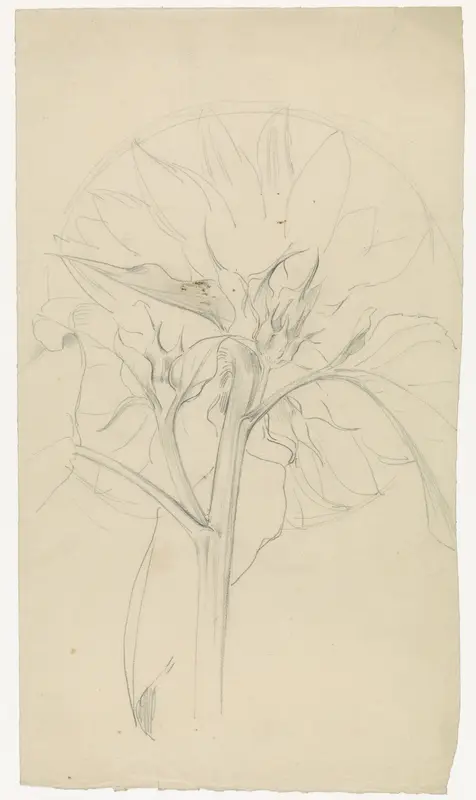Zonnebloem Wall Art by Antoon Derkinderen - High-Resolution Digital Print