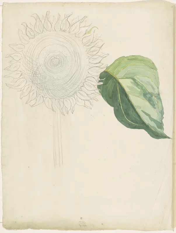 Zonnebloem en blad Wall Art by Martinus van Andringa - High-Resolution Digital Print