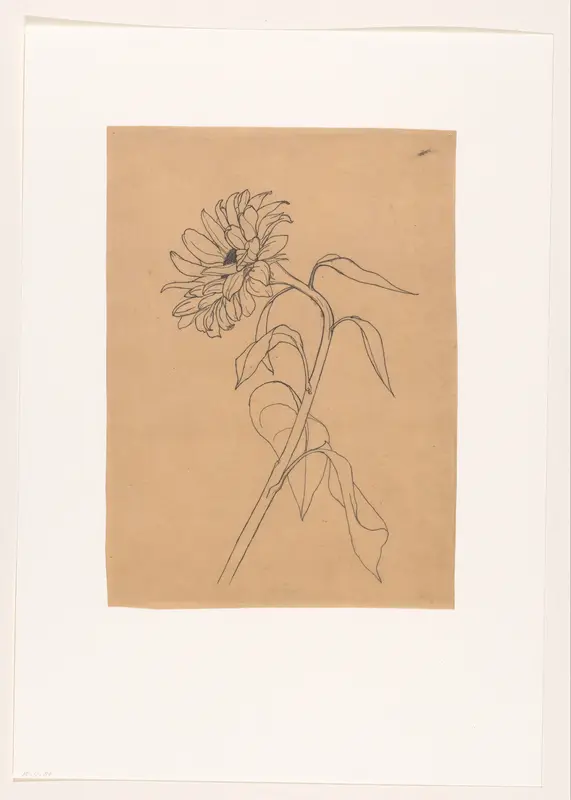 Zonnebloem van opzij Wall Art by Richard Nicolaüs Roland Holst - High-Resolution Digital Print