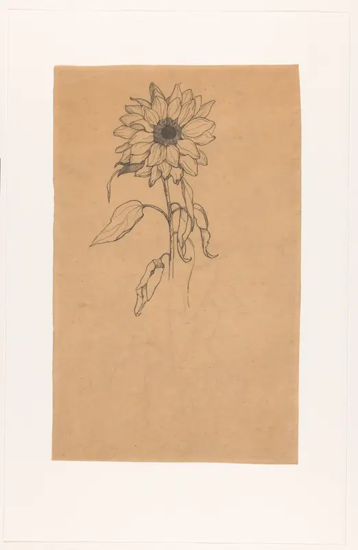 Zonnebloem van voren Wall Art by Richard Nicolaüs Roland Holst - High-Resolution Digital Print