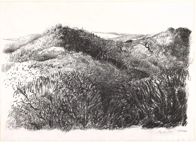 'Zonnig' duinlandschap Wall Art by Unknown - High-Resolution Digital Print