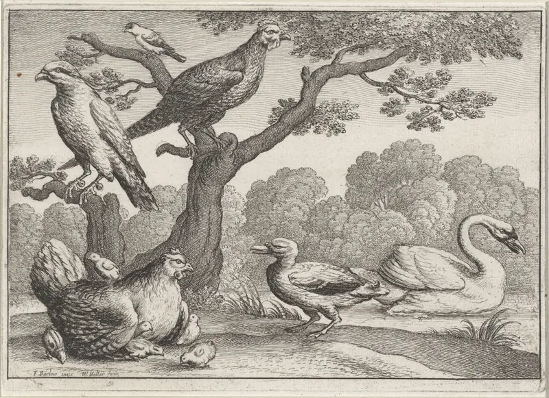 Zwaan, kip met kuikens en andere vogels Wall Art by Unknown - High-Resolution Digital Print