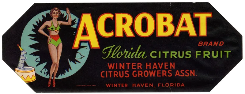 Acrobat Brand Florida Citrus Fruit Label Wall Art by Anonymous - High-Resolution Digital Print