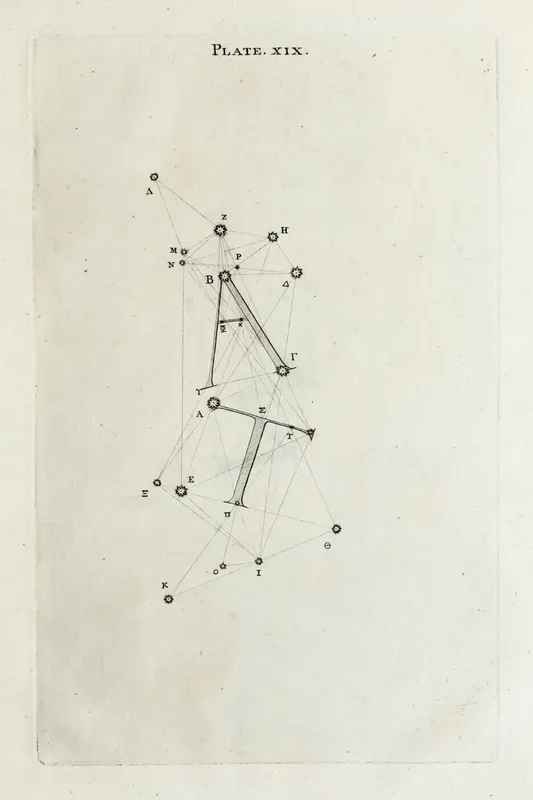 Rococo Illustration