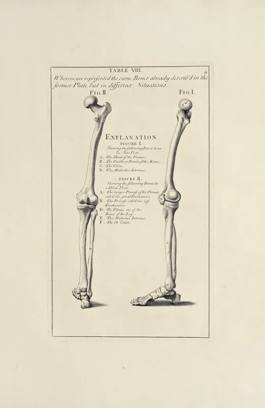 Belgian Rococo