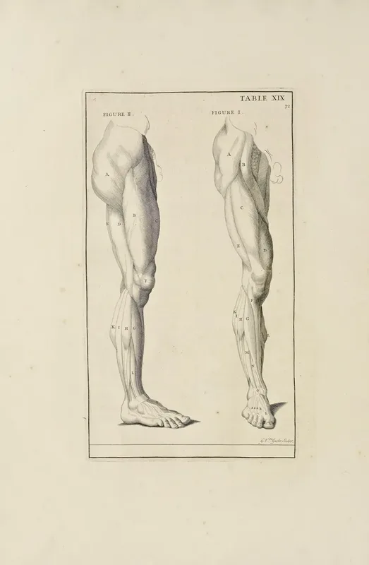Rococo Belgian