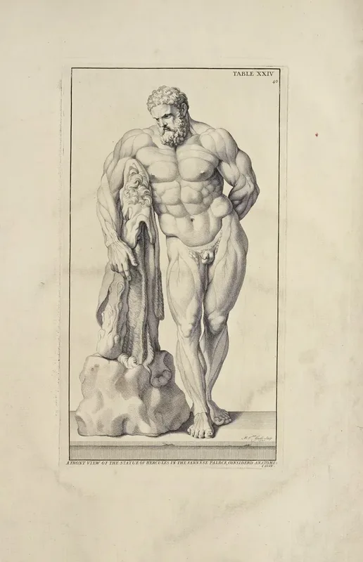 Belgian Illustration