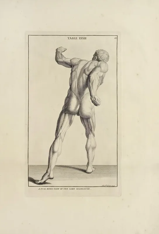Belgian Illustration