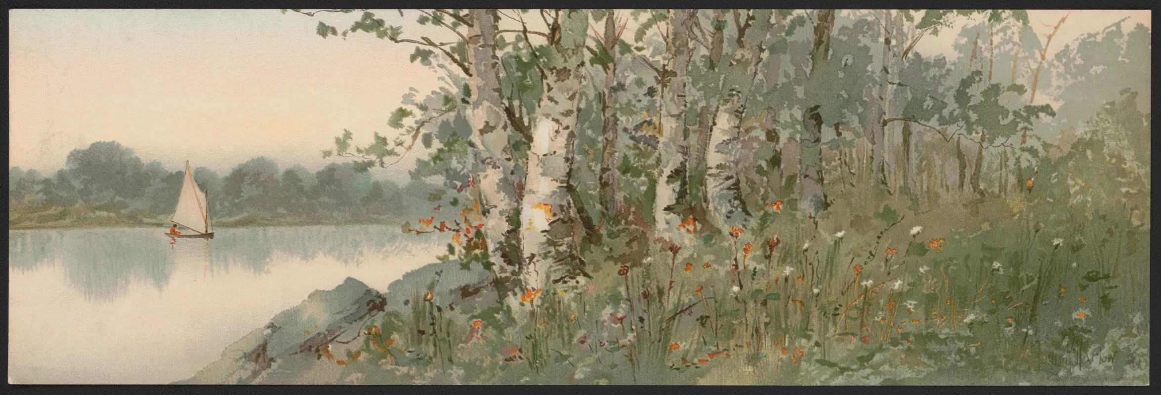 Birchpoint 2 Wall Art by Louis Kinney Harlow - High-Resolution Digital Print