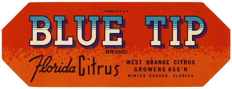 Blue Tip Brand Florida Citrus Label Wall Art by Anonymous - High-Resolution Digital Print