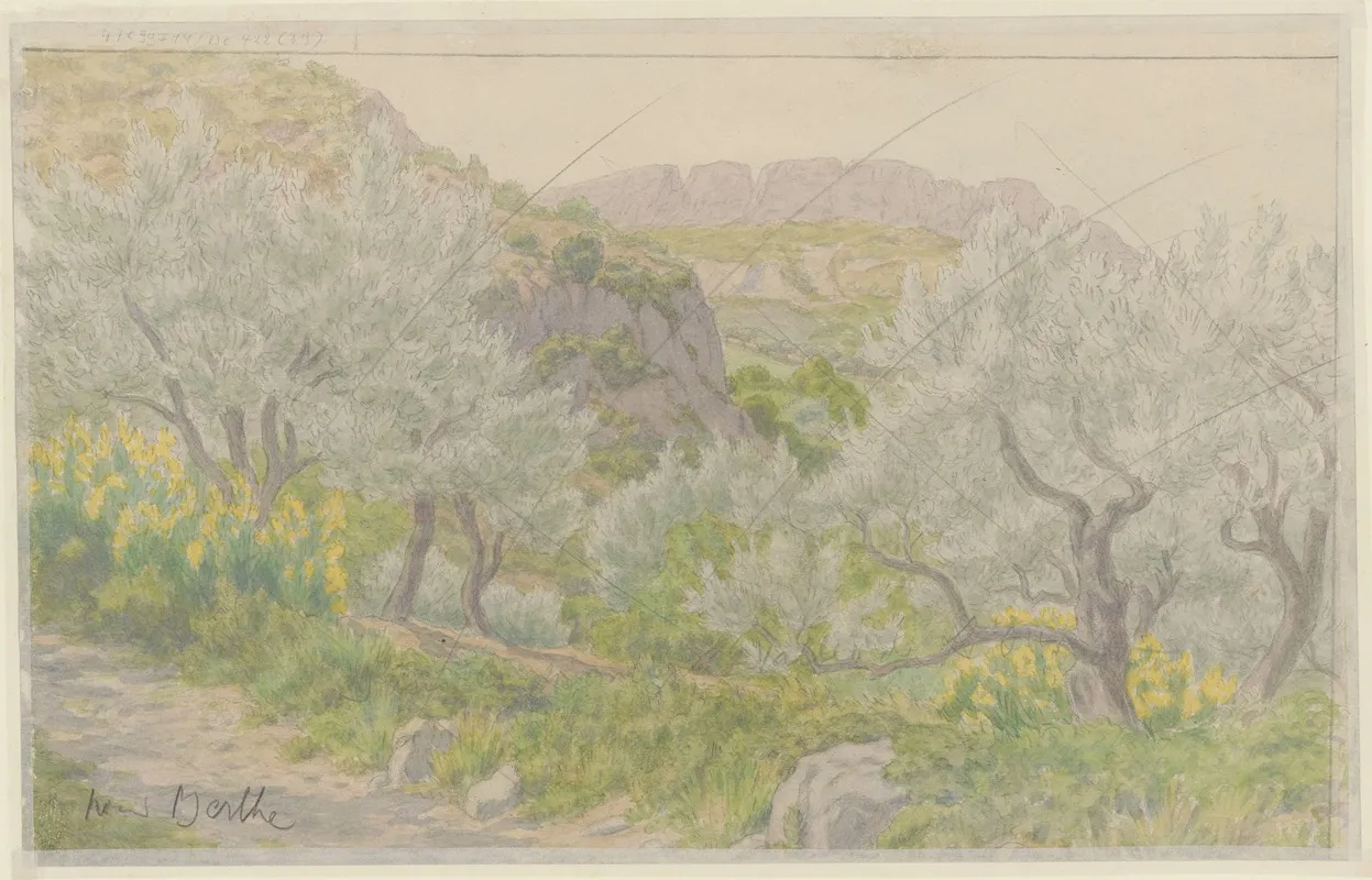 Landscape