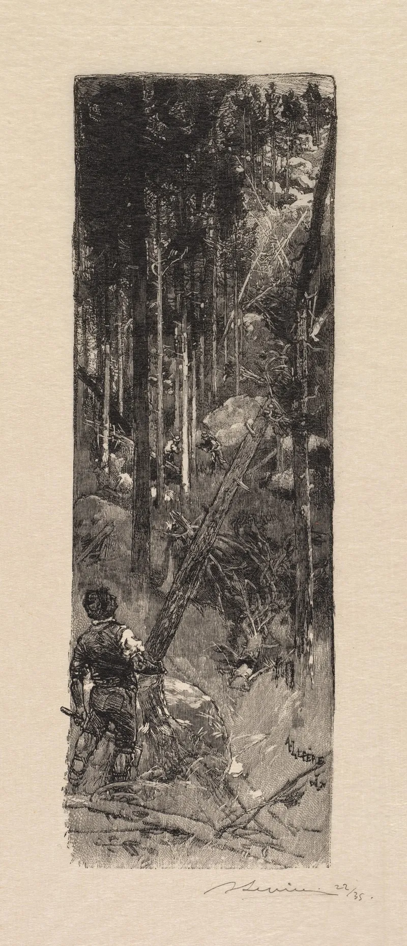 Cutting Of Pines Wall Art by Auguste Louis Lepère - High-Resolution Digital Print