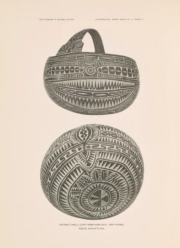 Decorative Art Of New Guinea Pl 43 Wall Art by Albert Buell Lewis - High-Resolution Digital Print