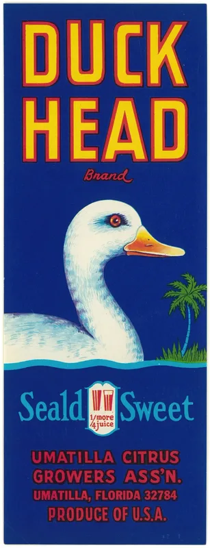 Duck Head Brand Citrus Label Wall Art by Anonymous - High-Resolution Digital Print