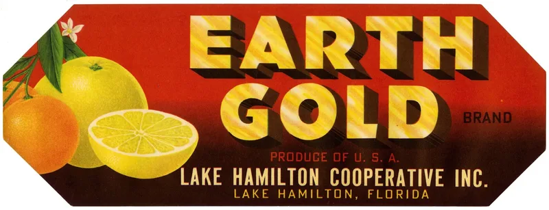 Earth Gold Brand Citrus Label Wall Art by Anonymous - High-Resolution Digital Print