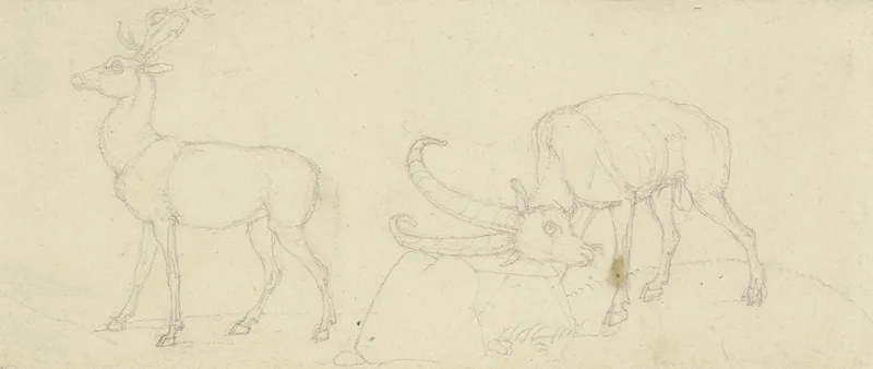 Ein Hirsch Und Ein Steinbock Der Sich Reibt Wall Art by Franz Pforr - High-Resolution Digital Print