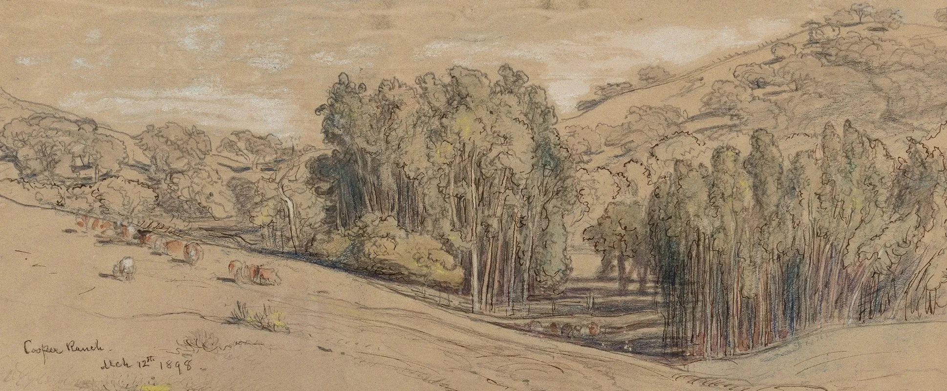 Eucalyptus Groves On The Cooper Ranch Santa Barbara Wall Art by Samuel Colman - High-Resolution Digital Print