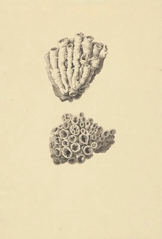 Master Drawings