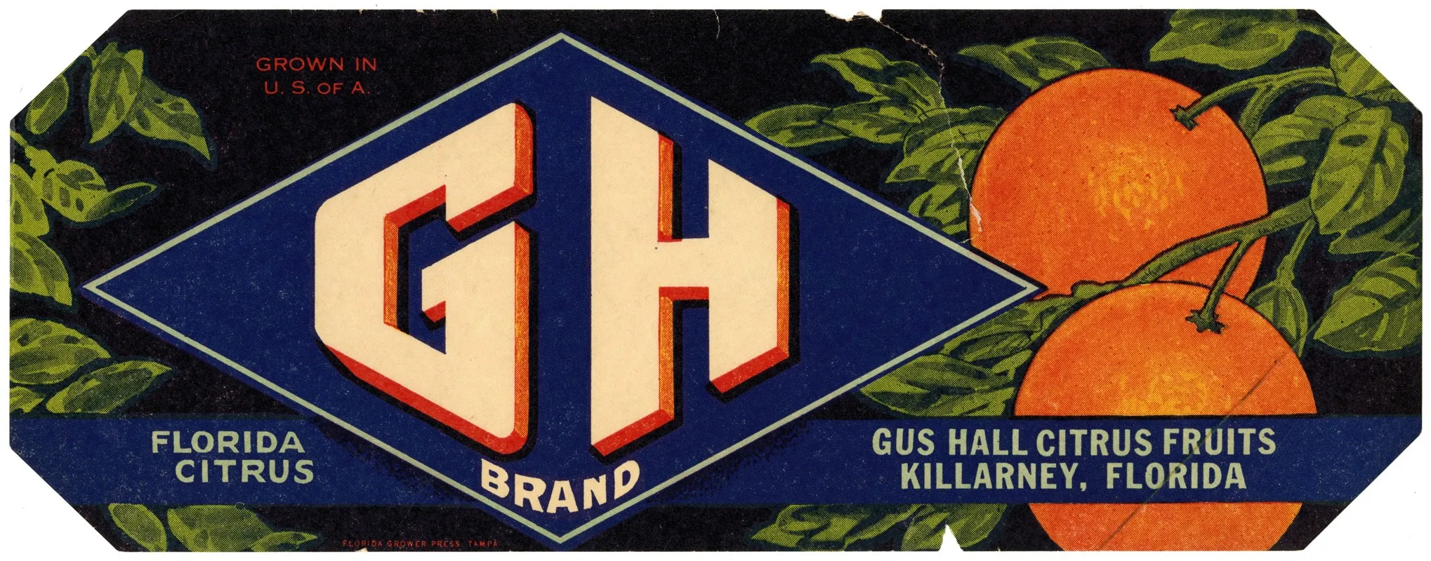 Gh Brand Florida Citrus Label Wall Art by Anonymous - High-Resolution Digital Print