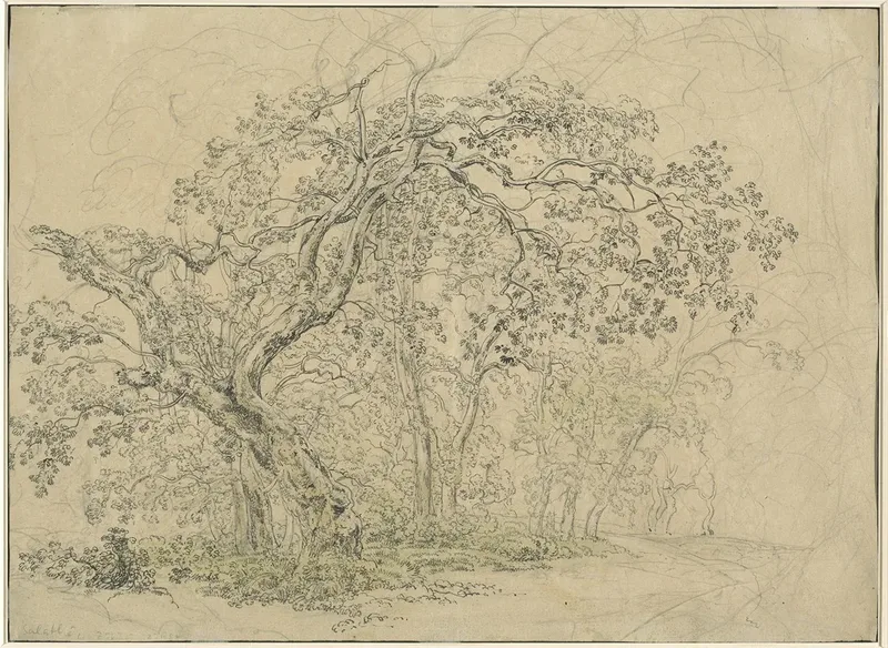 Grove Of Trees Verso Wall Art by Friedrich Salathé - High-Resolution Digital Print