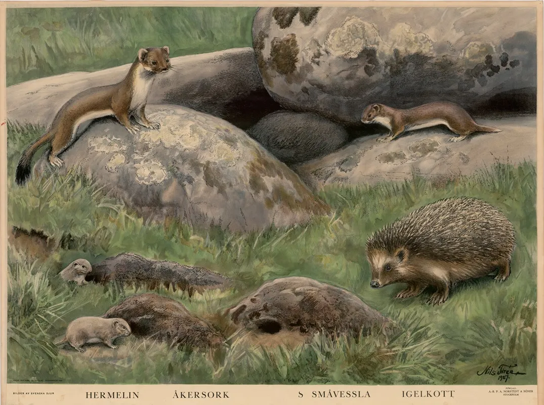 Panoramic Nature Wall Art