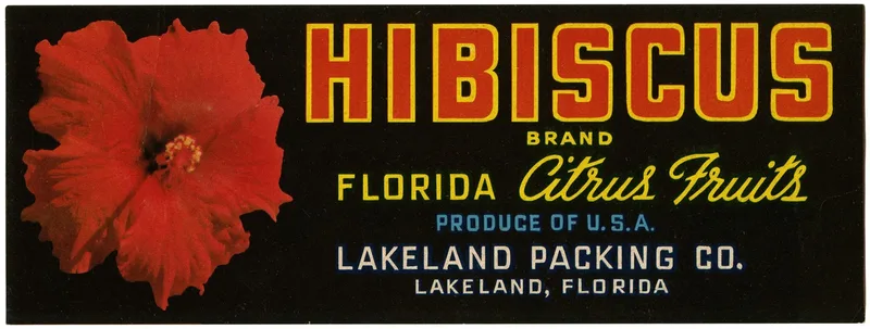 Hibiscus Brand Florida Citrus Fruit Label Wall Art by Anonymous - High-Resolution Digital Print