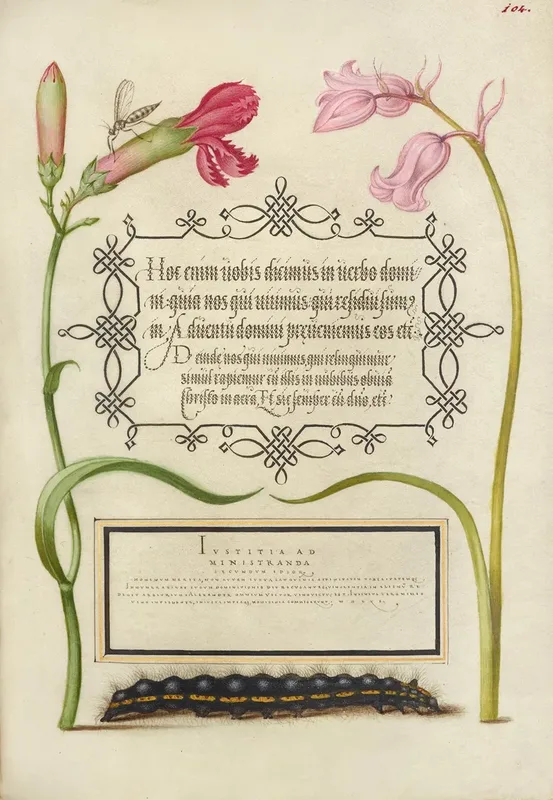 Imaginary Insect Carnation Bluebell And Saturnid Caterpillar Wall Art by Joris Hoefnagel - High-Resolution Digital Print