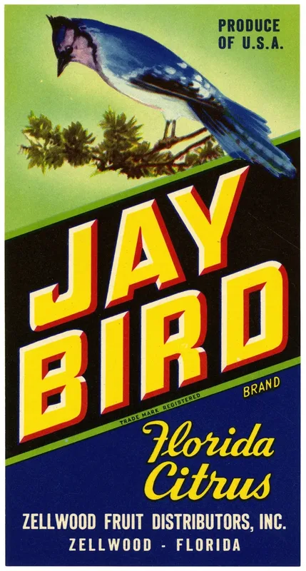 Jay Bird Brand Florida Citrus Label Wall Art by Anonymous - High-Resolution Digital Print