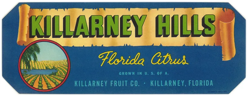 Killarney Hills Florida Citrus Label Wall Art by Anonymous - High-Resolution Digital Print