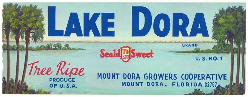 Lake Dora Brand Citrus Label 2 Wall Art by Anonymous - High-Resolution Digital Print
