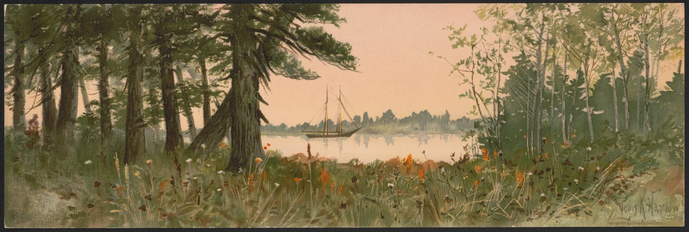 Old Hemlocks 2 Wall Art by Louis Kinney Harlow - High-Resolution Digital Print