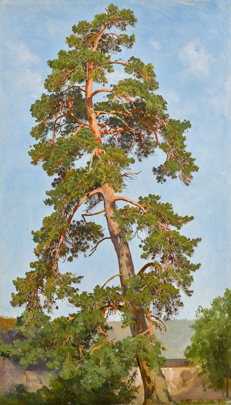 Pine Tree 5 Wall Art by Ivan Ivanovich Shishkin - High-Resolution Digital Print