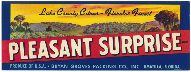 Pleasant Sunrise Brand Citrus Label Wall Art by Anonymous - High-Resolution Digital Print