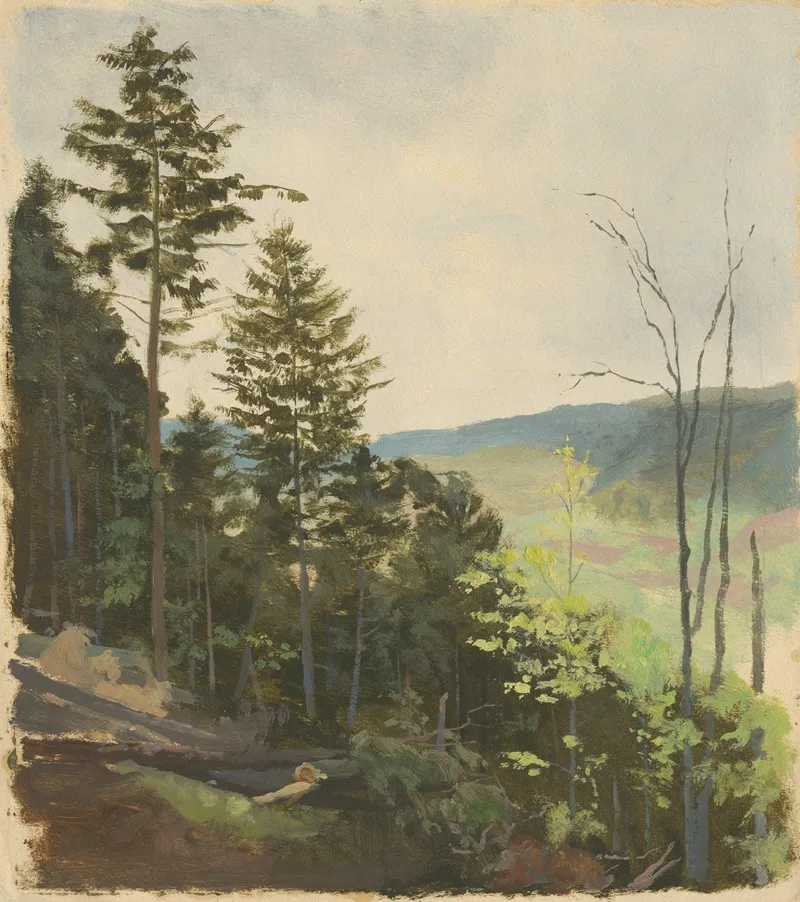 Scrub Hill Wall Art by Jan Nowopacký - High-Resolution Digital Print