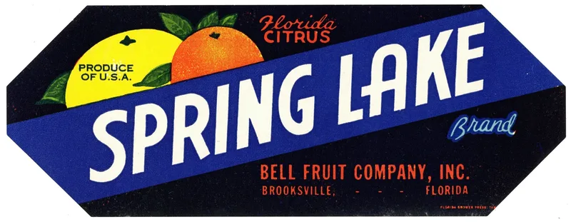 Spring Lake Brand Florida Citrus Label Wall Art by Anonymous - High-Resolution Digital Print