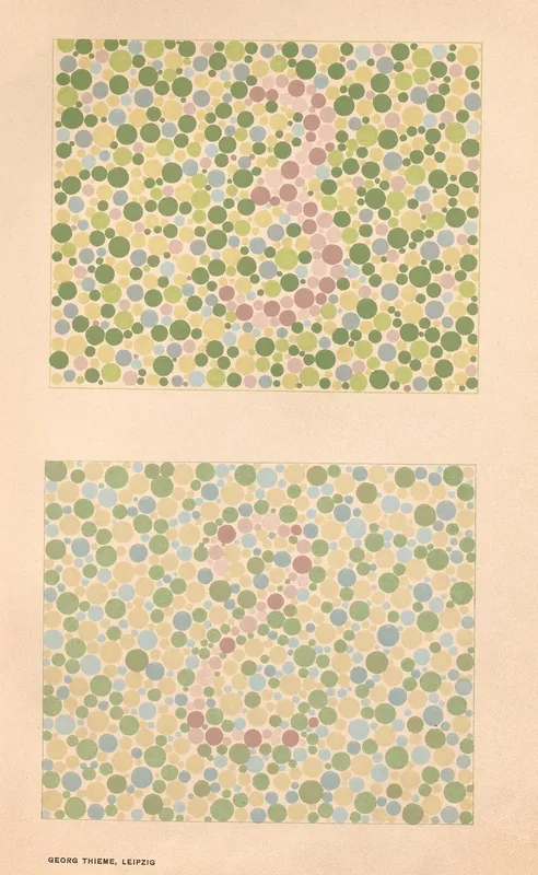Stillings Pseudo Isochromatic Plates For Testing Color Perception Pl 21 Wall Art by Jakob Stilling - High-Resolution Digital Print