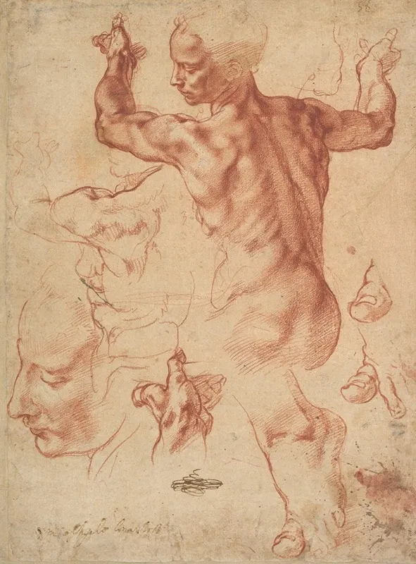 Italian Renaissance Wall Art