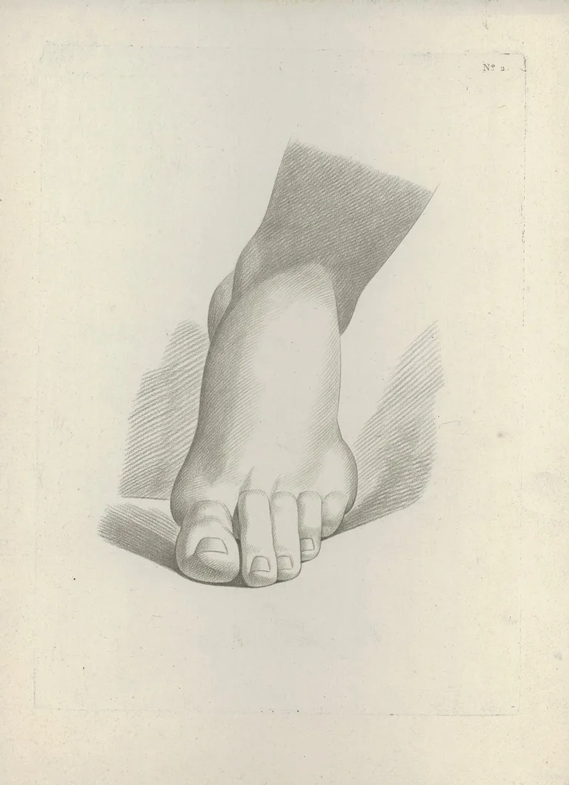 Study Of A Foot 2 Wall Art by J. F Cazenave - High-Resolution Digital Print