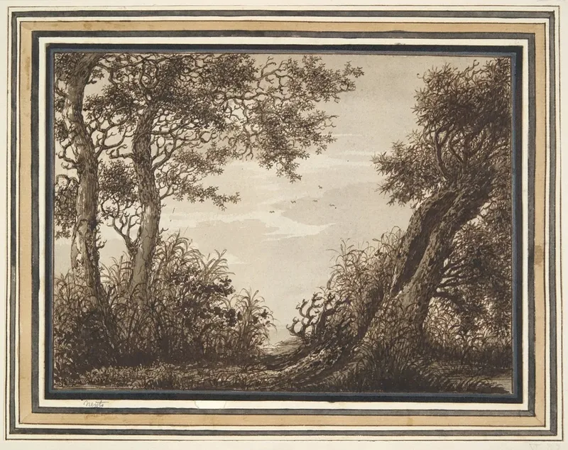 Study Of Trees 6 Wall Art by Adriaen Hendriksz. Verboom - High-Resolution Digital Print