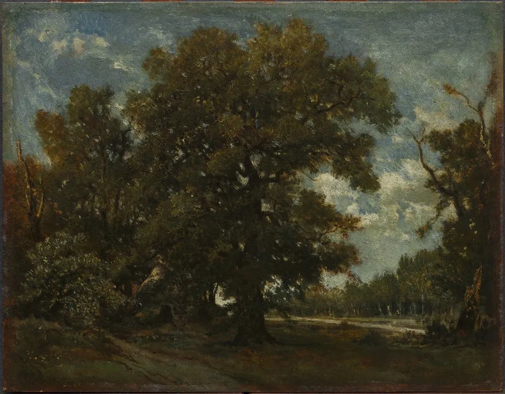 Landscape